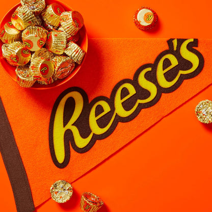 REESE'S_Miniatures_Milk_Chocolate_Peanut_Butter_Cups,_Candy_Family_Pack,_17.6_oz