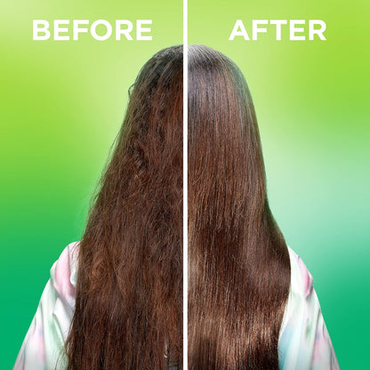 Garnier_Fructis_Sleek_&_Shine_Moroccan_Sleek_Smoothing_Oil_for_Frizzy,_Dry_Hair,_Argan_Oil,_3.75_Fl_Oz,_2_Count_(Packaging_May_Vary)