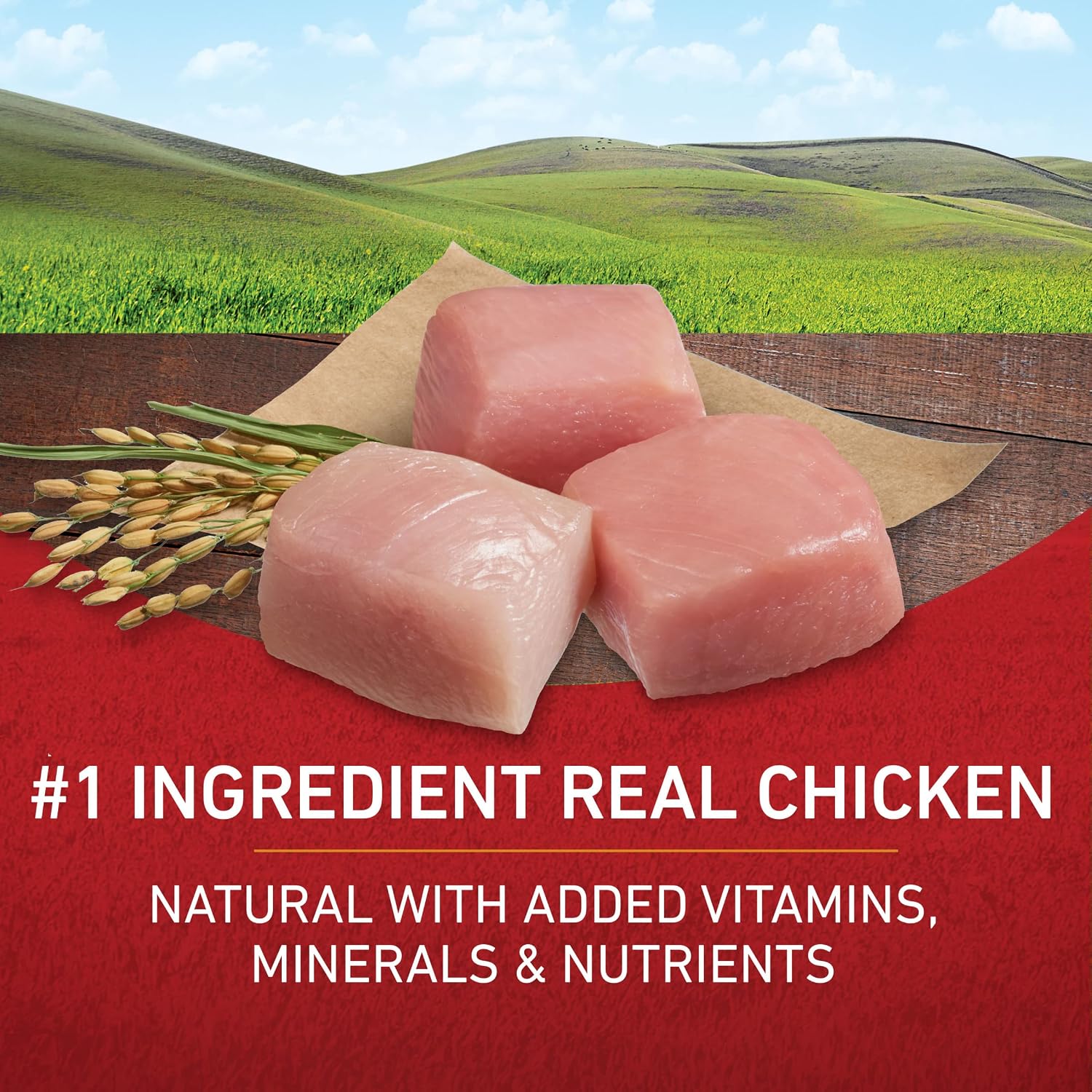 Purina_ONE_Chicken_and_Rice_Formula_Dry_Dog_Food_-_16.5_lb._Bag