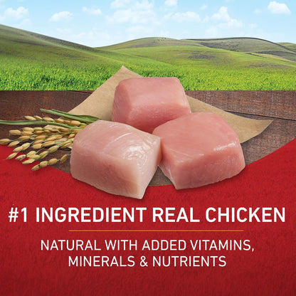 Purina_ONE_Chicken_and_Rice_Formula_Dry_Dog_Food_-_16.5_lb._Bag
