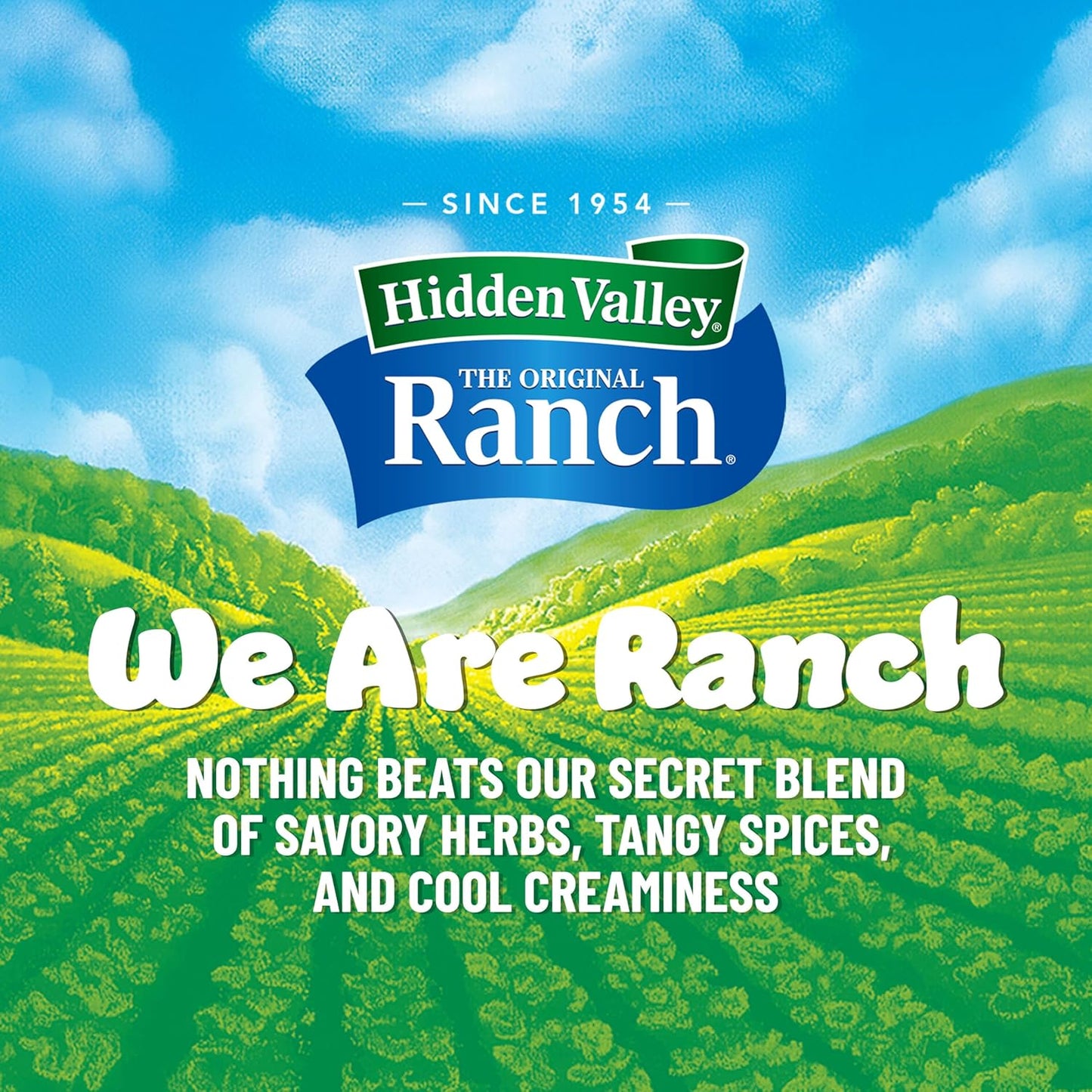 Hidden_Valley_Original_Ranch_Seasoning,_Dressing_and_Dip_Mix,_8_Ounces_(Package_May_Vary)