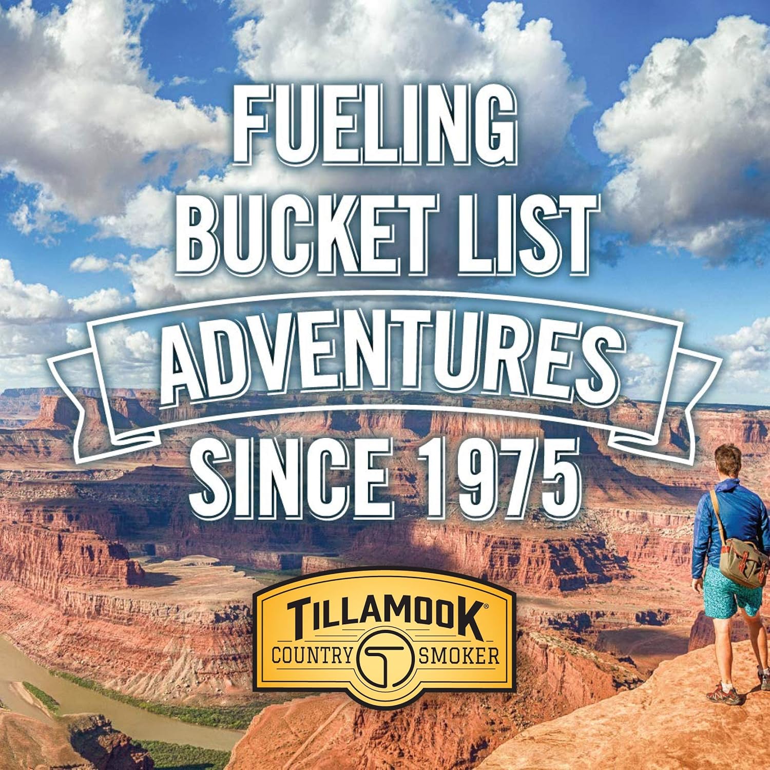 Tillamook_Country_Smoker_Real_Hardwood_Smoked_Beef_Jerky,_Honey_Glazed,_10_Ounce