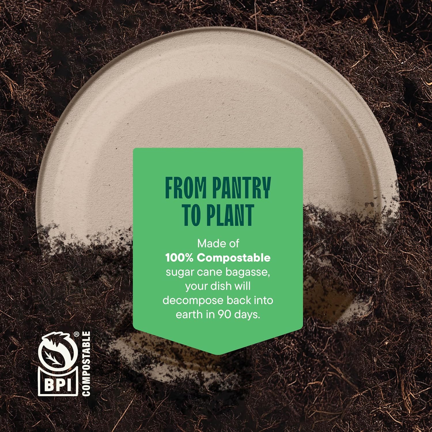 100%_Compostable_Paper_Plates,_Heavy_Duty_Disposable_Plates_[125-Pack]_9_Inch_Plates_-_Eco-Friendly,_Biodegradable_Sugarcane_Bagasse,_Natural_Unbleached_Brown_9"_Dinner_Paper_Plate_Disposable