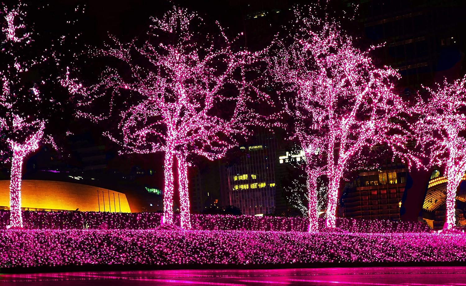 612_Vermont_100_Pink_Christmas_Lights_on_a_White_Wire_String,_UL_Approved,_Indoor/Outdoor_Use,_18’_of_Lighted_Length,_20’_of_Total_Length