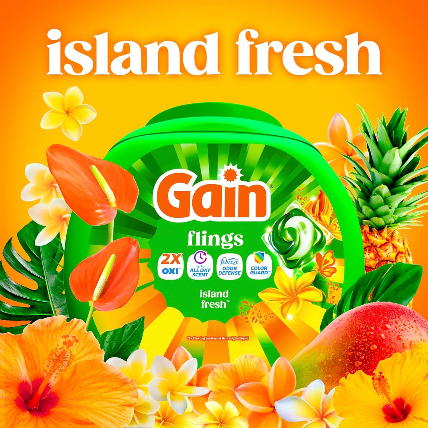 Gain_Flings_Liquid_Washing_Detergent_Pacs_with_Odor_Defense_+_Color_Guard,_Island_Fresh_Scent,_4-In-1_Liquid_Laundry_Detergent_Pods,_Clean_&_Fresh,_60_Count_(Packaging_May_Vary)