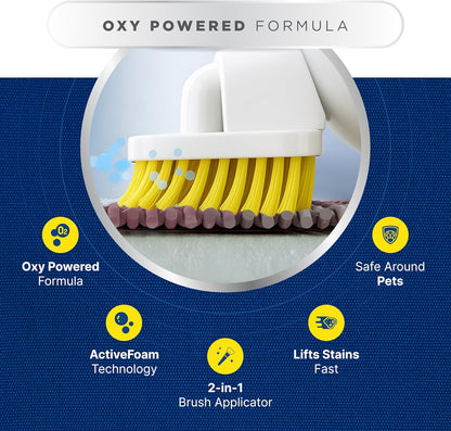 Carbona_2-in-1_Oxy-Powered_Pet_Stain_&_Odor_Remover_(13.5_Fl_Oz),_Carpet_Spot_Cleaner_Removes_Urine_Odor,_Lifts_Mud_&_Vomit_Stains,_Prevents_Resoiling