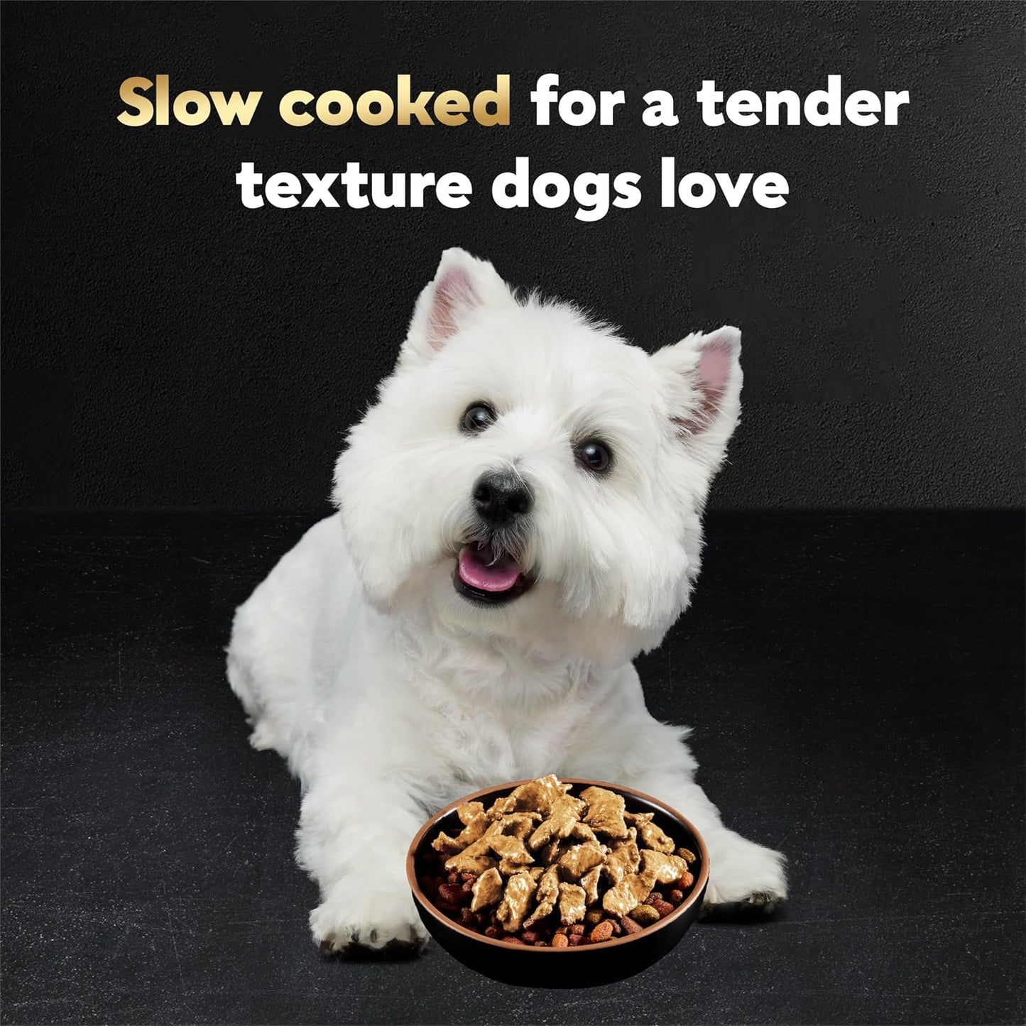 Cesar_Filets_in_Gravy_Wet_Dog_Food_Rotisserie_Chicken_Flavor,_Filet_Mignon_Flavor,_and_Wood-Grilled_Chicken_Variety_Pack,_Wet_Food_for_Dogs,_1.76_oz._Mini-Pouches,_40_Count