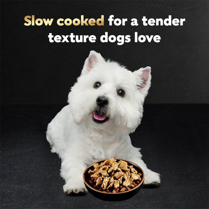 Cesar_Filets_in_Gravy_Wet_Dog_Food_Rotisserie_Chicken_Flavor,_Filet_Mignon_Flavor,_and_Wood-Grilled_Chicken_Variety_Pack,_Wet_Food_for_Dogs,_1.76_oz._Mini-Pouches,_40_Count