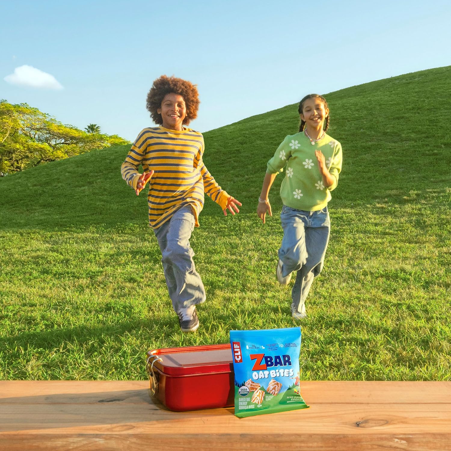 Zbar_Oat_Bites_-_Iced_Oatmeal_Cookie_-_Baked_Oat_Energy_Granola_Bites_-_USDA_Organic_Snacks_for_Kids_-_14g_Whole_Grains_(6_Snack_Packs)