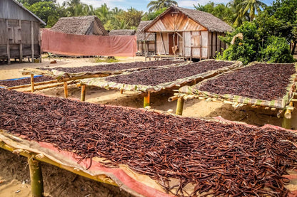 Vanilla_Bean_Kings_10_Organic_Madagascar_Whole_Grade_A_Vanilla_Pods_for_Vanilla_Extract_and_Baking