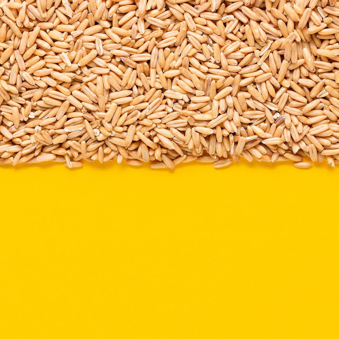 Yupik_Organic_Whole_Oat_Groats,2.2_lb_(35.2_oz),_Non-GMO,_Vegan,_Kosher,_Raw,_Whole_Grain_Oats,_Salt-Free,_Nutty_Flavor,_Good_Source_of_Fiber,_Ideal_for_Baking_&_Cooking