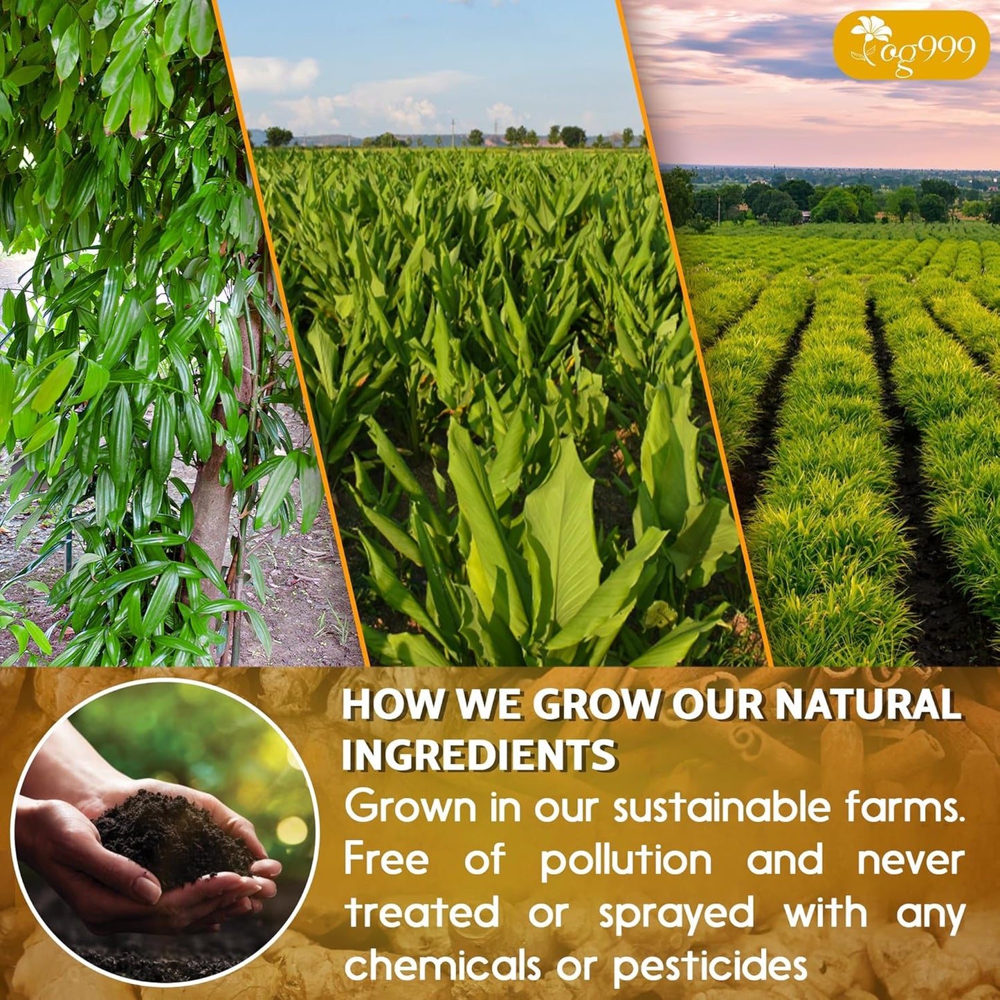 30_Bags_Premium_Turmeric_Ginger_Cinnamon_Tea,_Improve_Digestion,_Support_Brain,_Weight,_Skin_and_Sleep,_Eco-Conscious_Tea_Bags_and_Premium_Natural_Ingredients._Turmeric_Ginger_Herbal_Tea._No_Sugar,_No_Caffeine,_No_Gluten,_Vegan.