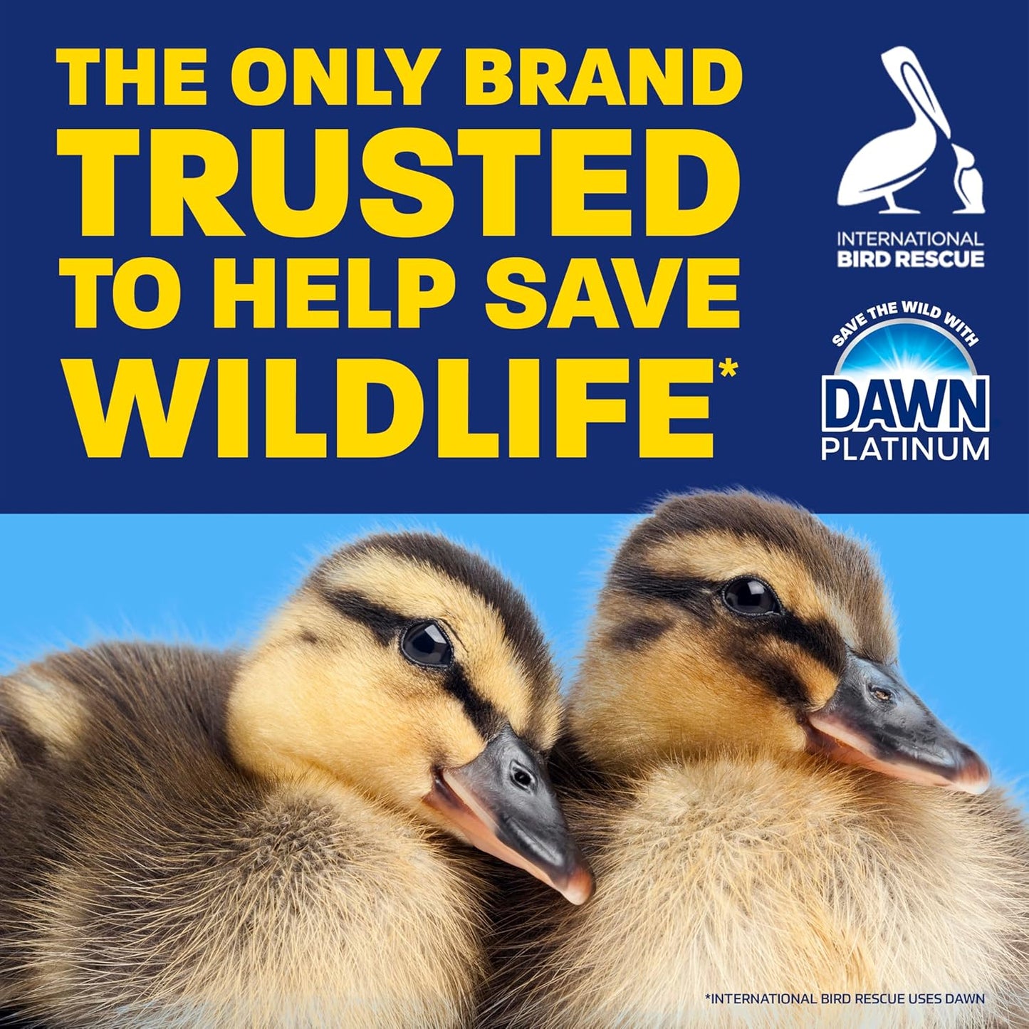 Dawn_Platinum_EZ-Squeeze_Dish_Soap_Liquid,_Dishwashing_Liquid,_Grease_Removal,_Upside_Down_Bottle,_Wild_Jasmine,_6x18_Fl_Oz_Bundle