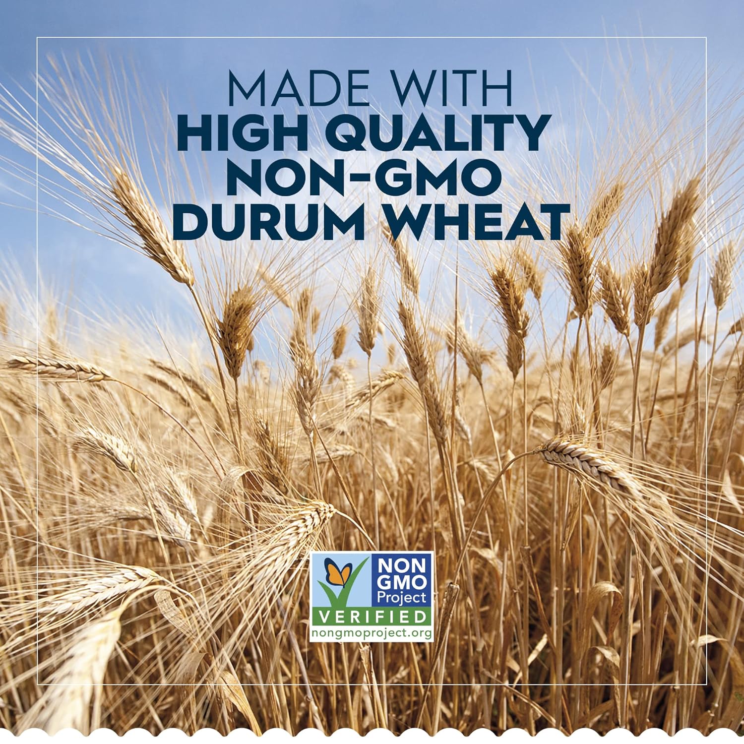 Barilla_Medium_Shells_Pasta,_16_oz._Box_-_Non-GMO,_Made_with_Durum_Wheat_Semolina_-_Kosher_Certified
