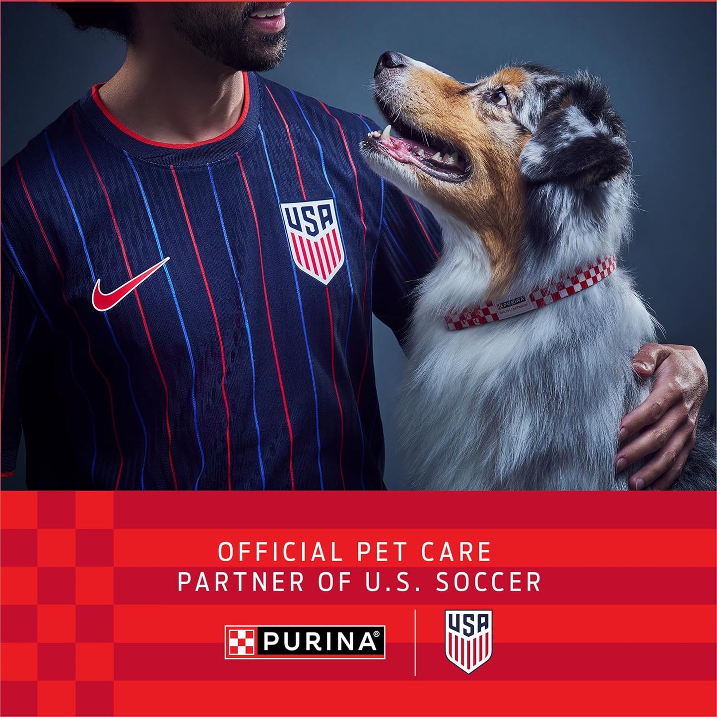 Purina_ONE_Dry_Dog_Food_Lamb_and_Rice_Formula_-_31.1_lb._Bag