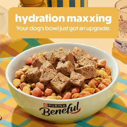 Purina_Beneful_Gravy_Wet_Dog_Food_Variety_Pack,_Prepared_Meals_Stew_-_(12)_10_oz._Tubs