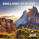 Brilliant Seasons
