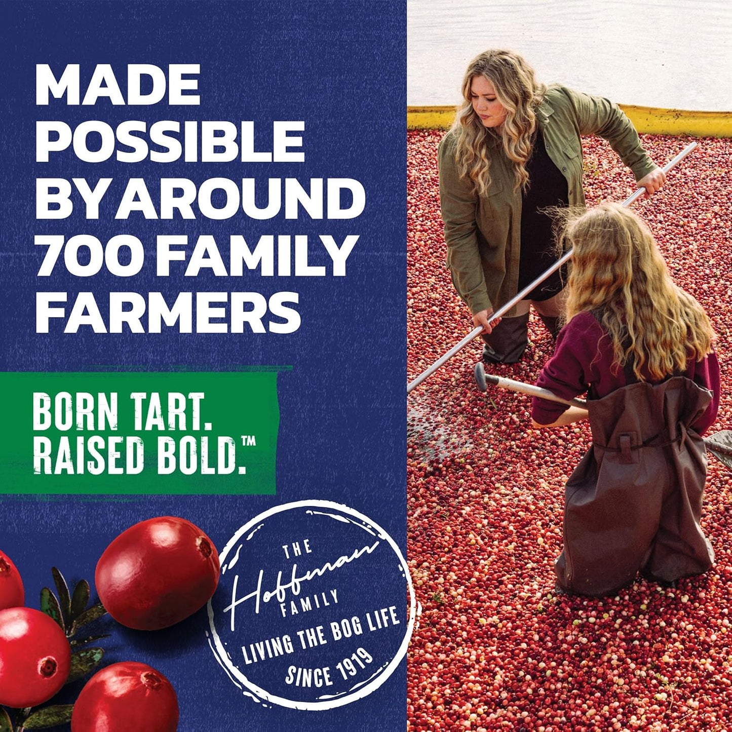 Ocean_Spray_Cran-Apple_Juice_Drink,_10_Ounce_Bottle_(Pack_of_6)