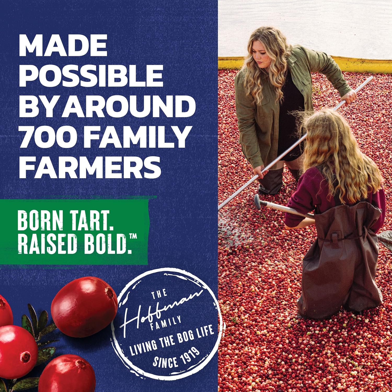 Ocean_Spray_Cran-Apple_Juice_Drink,_10_Ounce_Bottle_(Pack_of_6)