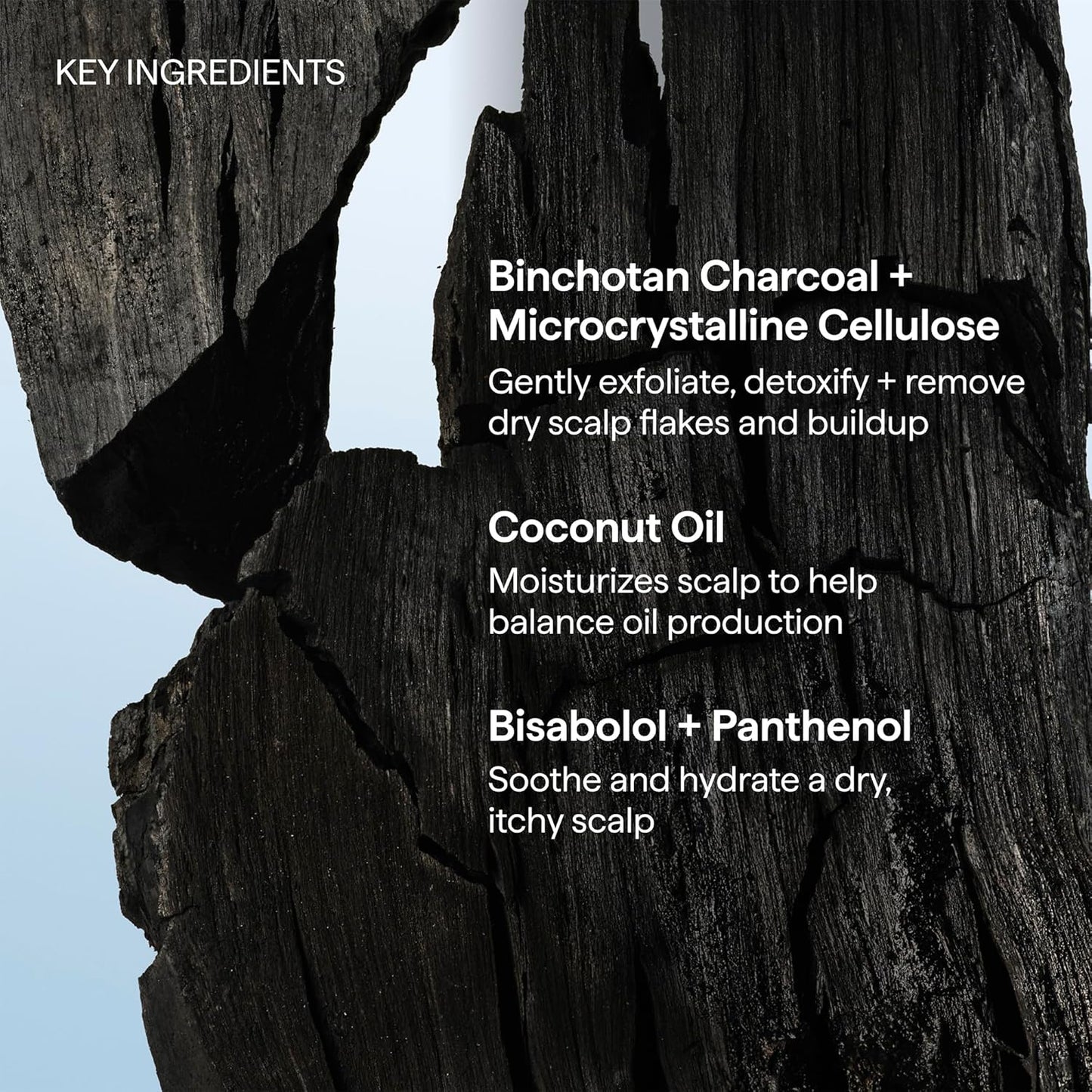 Briogeo_Scalp_Revival_Charcoal_+_Coconut_Oil_Micro-Exfoliating_Shampoo_|_Sulfate-Free_Scalp_Scrub_for_Dry,_Itchy,_or_Oily_Scalp_|_Detoxifying_&_Hydrating_|_Vegan_&_Cruelty_Free