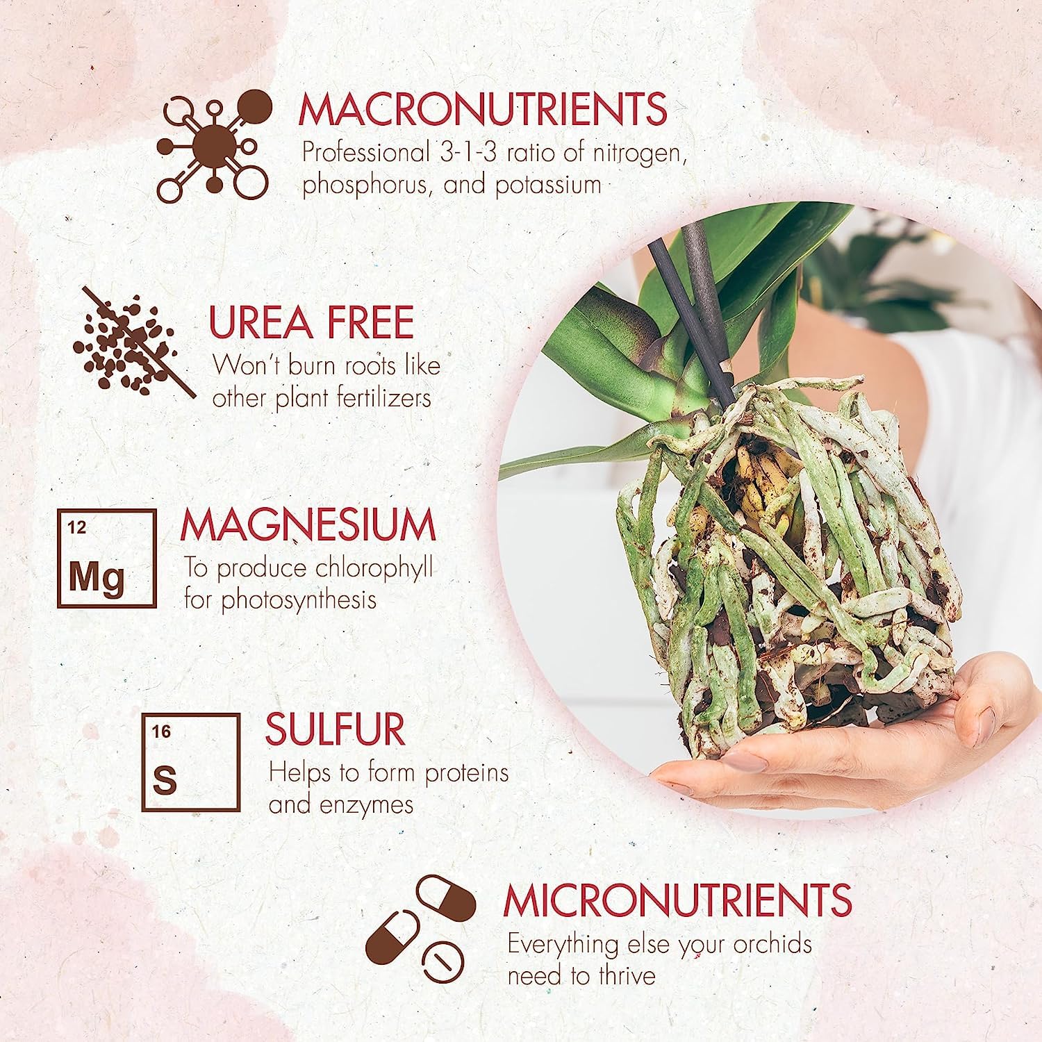 Orchid_Plant_Food_-_Bloom_Booster_Fertilizer_Pellets_for_Orchids_in_Pots_-_Slow_Release_Nutrients_for_Healthy_Flower_&_Reblooms