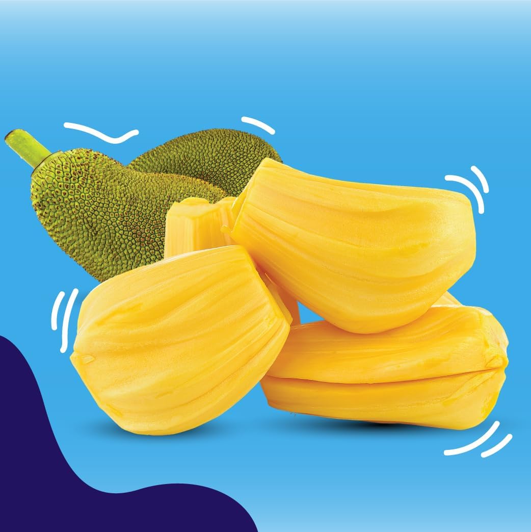 Jackfruit_Chips_7_Oz_|_Jans_Buah_Dried_Chips,_Gluten-Less_Fruit_Snack,_Authentic_Experience,_Jack_Dried,_Freeze