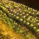 Warm White-Green Wire - 12FT x 5FT