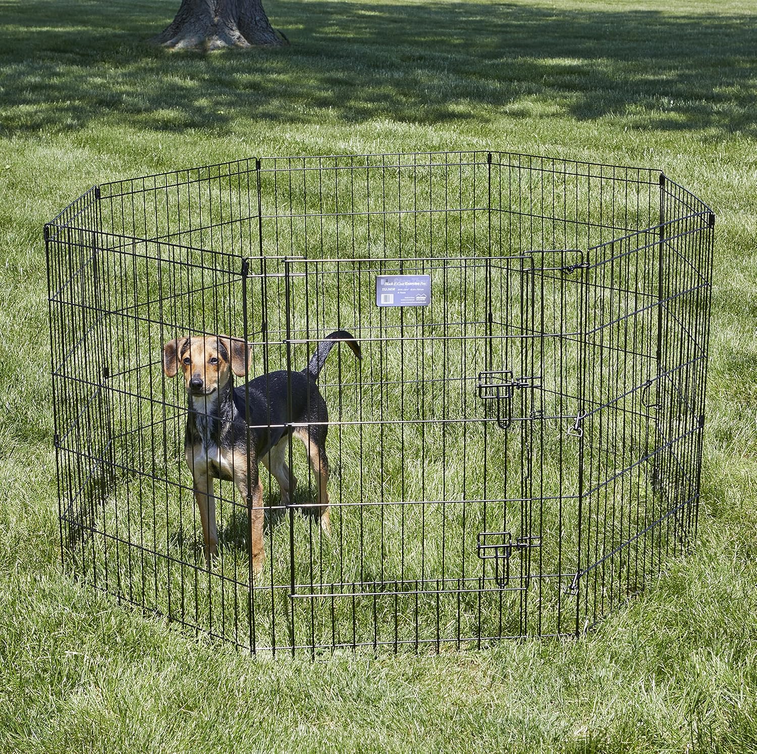 MidWest_Homes_for_Pets_30-Inch_Exercise_Pen,_for_Indoor_and_Outdoor_Use,_16_Sq_Feet_of_Play,_Single_Door_Folding_Dog_Pen,_with_Large_Door_Opening_&_Secure_Latch,_Easy_to_Set_Up,_Foldable_Dog_Playpen
