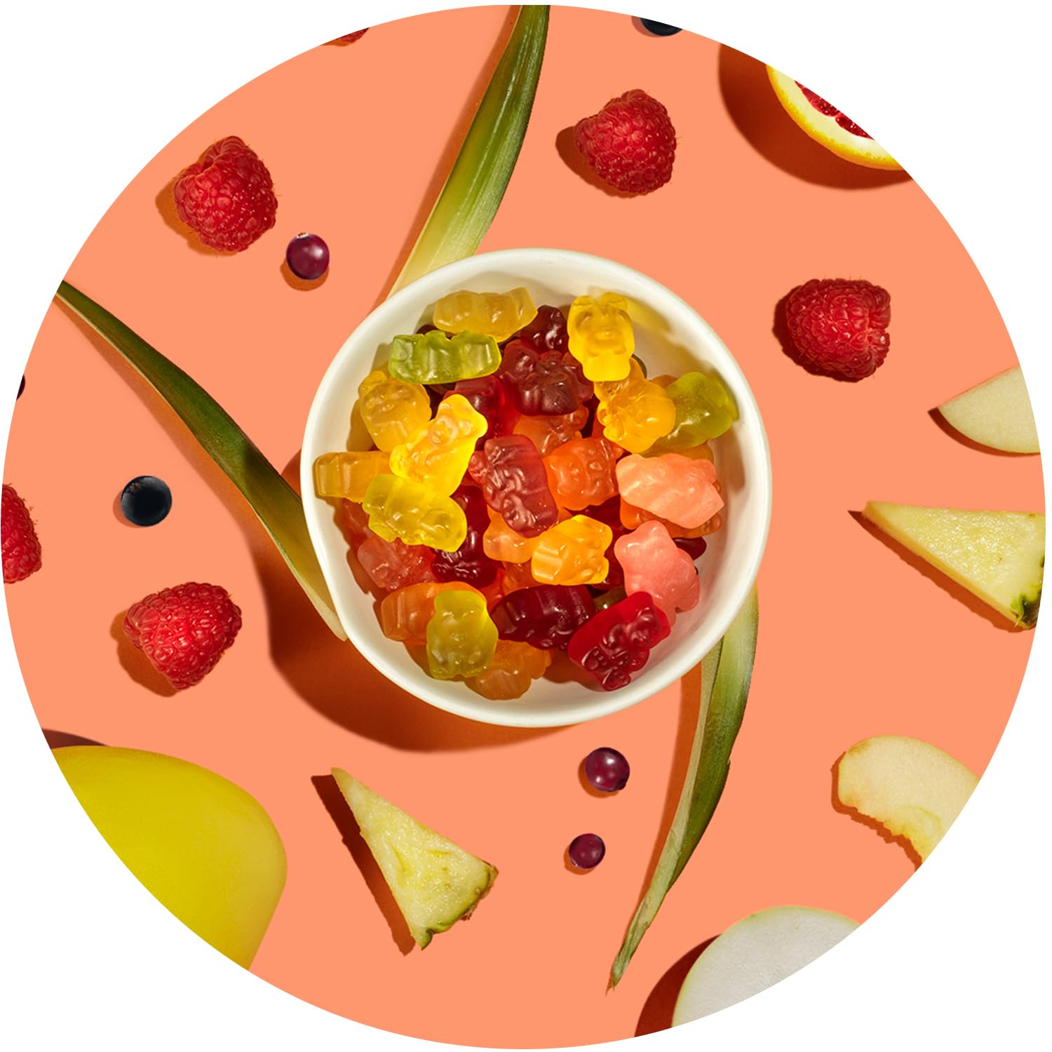 Albanese_World's_Best_True_to_Fruit_–_Exotic_Fruits_Gummies,_25oz_Bag_of_Gummy_Candy_(Packaging_May_Vary)v_Snack_Sweet_Mango_Pineapple_Cherry_Bonbon