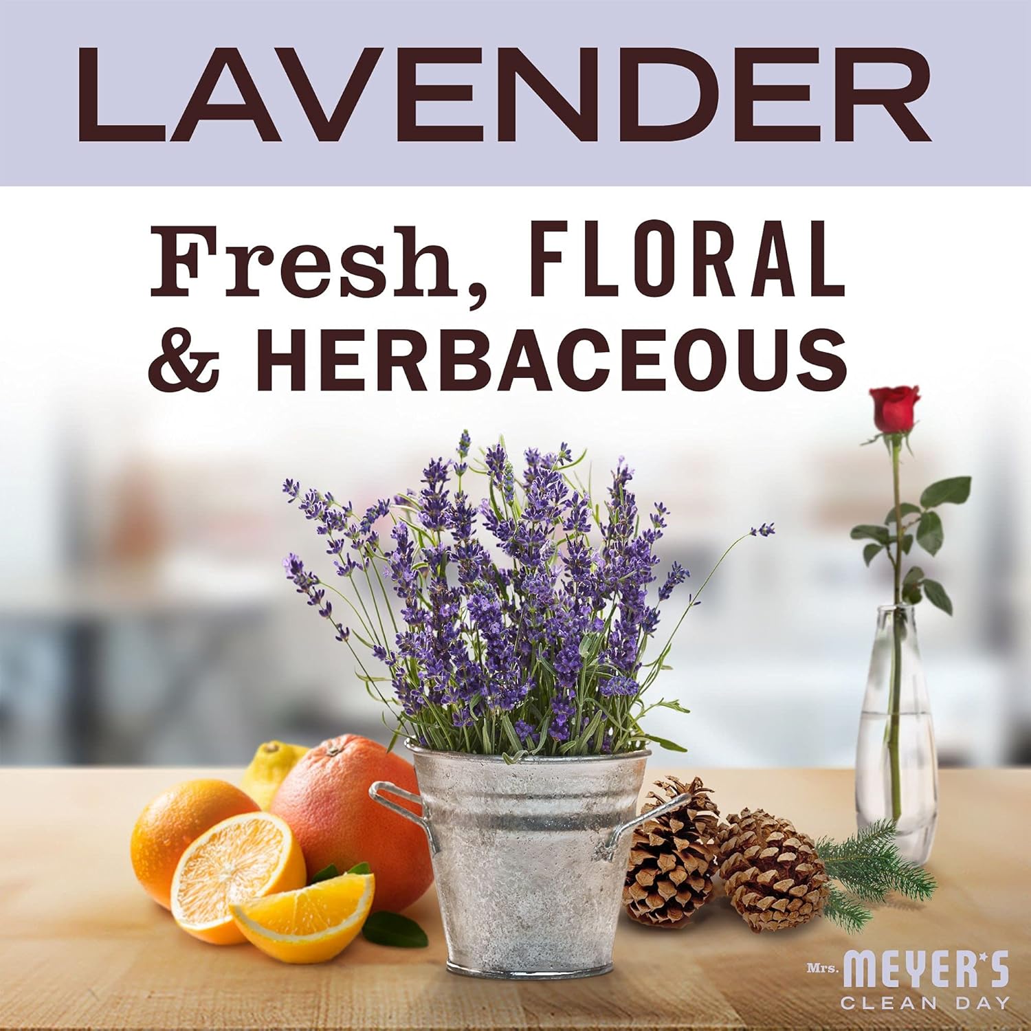 MRS._MEYER'S_CLEAN_DAY_All-Purpose_Cleaner_Spray,_Lavender,_16_fl._oz_-_Effective_Cleaning_Solution_for_Various_Surfaces