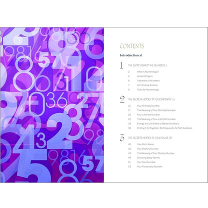 A_Beginner's_Guide_to_Numerology:_Decode_Relationships,_Maximize_Opportunities,_and_Discover_Your_Destiny