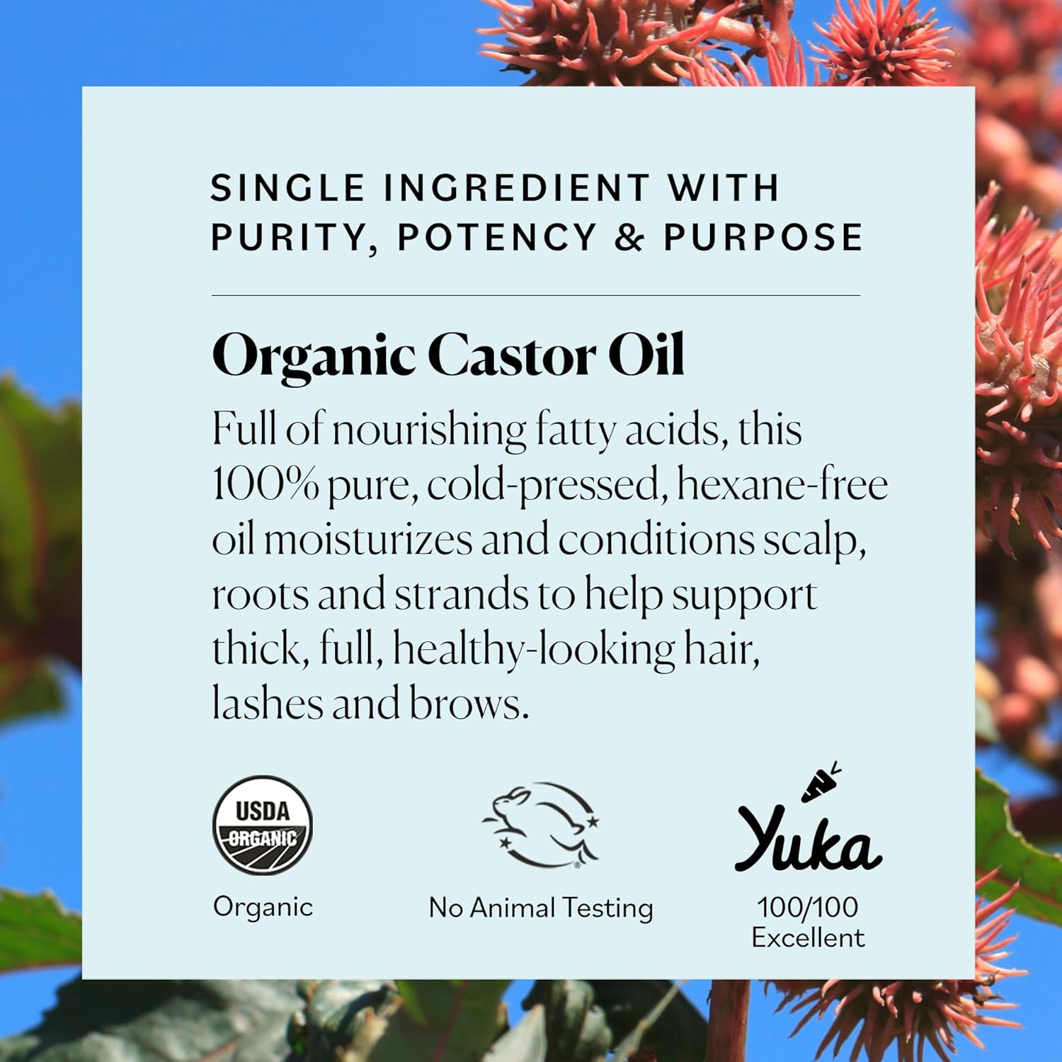 Sky_Organics_-_Castor_Oil_Organic_-_Volumizing_Hair_Oil_-_Scalp,_Lashes,_Brows_-_Pure_Castor_Oil_Cold_Pressed_-_Natural_Conditioner_-_Omega_Fatty_Acids,_Vegan_-_Beauty,_Hair_Care,_&_Self_Care