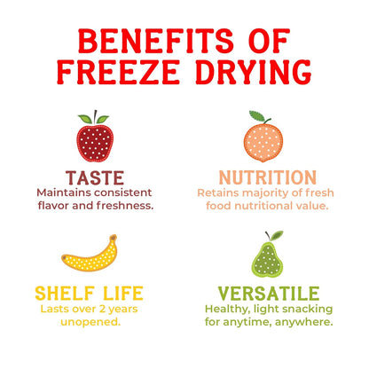 Nature’s_Turn_Freeze-Dried_Fruit_Snacks,_Sour_Kiwi_Crisps,_Pack_of_6_(0.53_oz_Each)_Dry