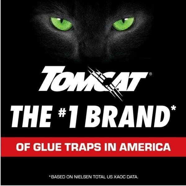 Tomcat_Mouse_Glue_Trap_W/Eugenol_-_8_Pack_Rat