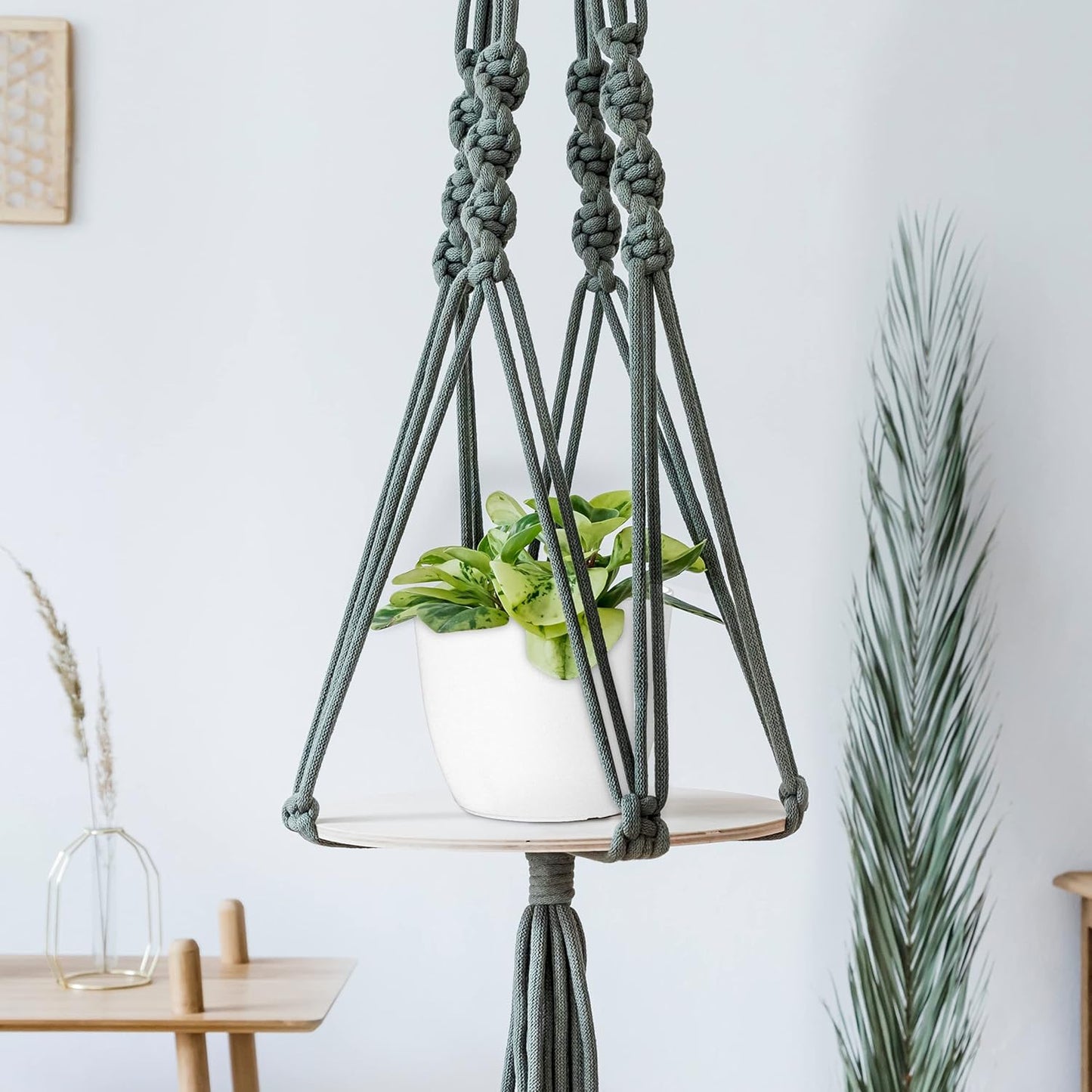 Utopia_Home_-_Plant_Pots_Indoor_with_Drainage_-_7/6.6/6/5.3/4.8_Inches_Flower_Pots_for_Indoor_Planter_-_5_Pack_Plastic_Planters_-_Ideal_for_Stocking_Stuffers_or_Home_Christmas_Decorations