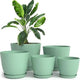 pack of 5 - Mint