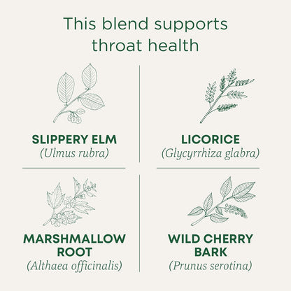 Traditional_Medicinals_Tea,_Organic_Throat_Coat,_Supports_Health,_16_Tea_Bags