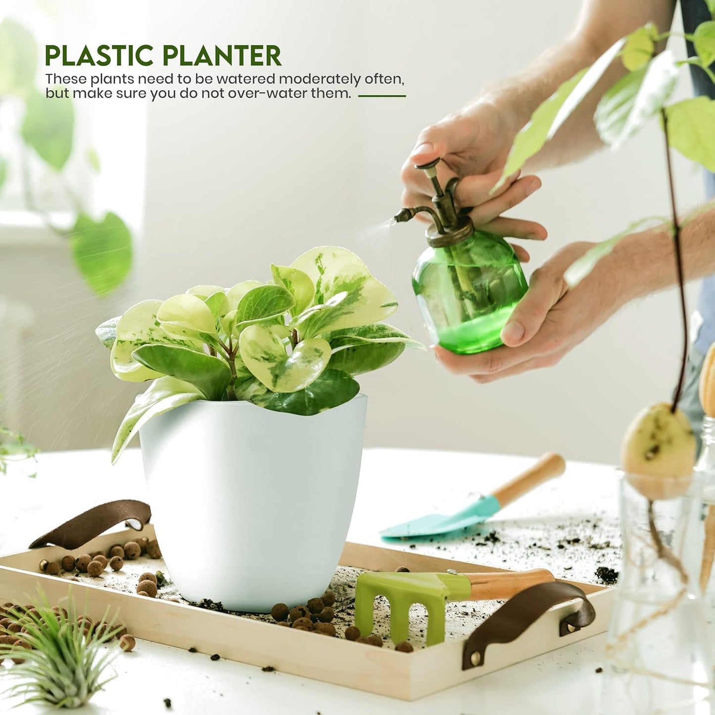 Utopia_Home_-_Plant_Pots_Indoor_with_Drainage_7/6.6/6/5.3/4.8_Inches_Flower_for_Planter_5_Pack_Plastic_Planters_Ideal_Stocking_Stuffers_or_Christmas_Decorations