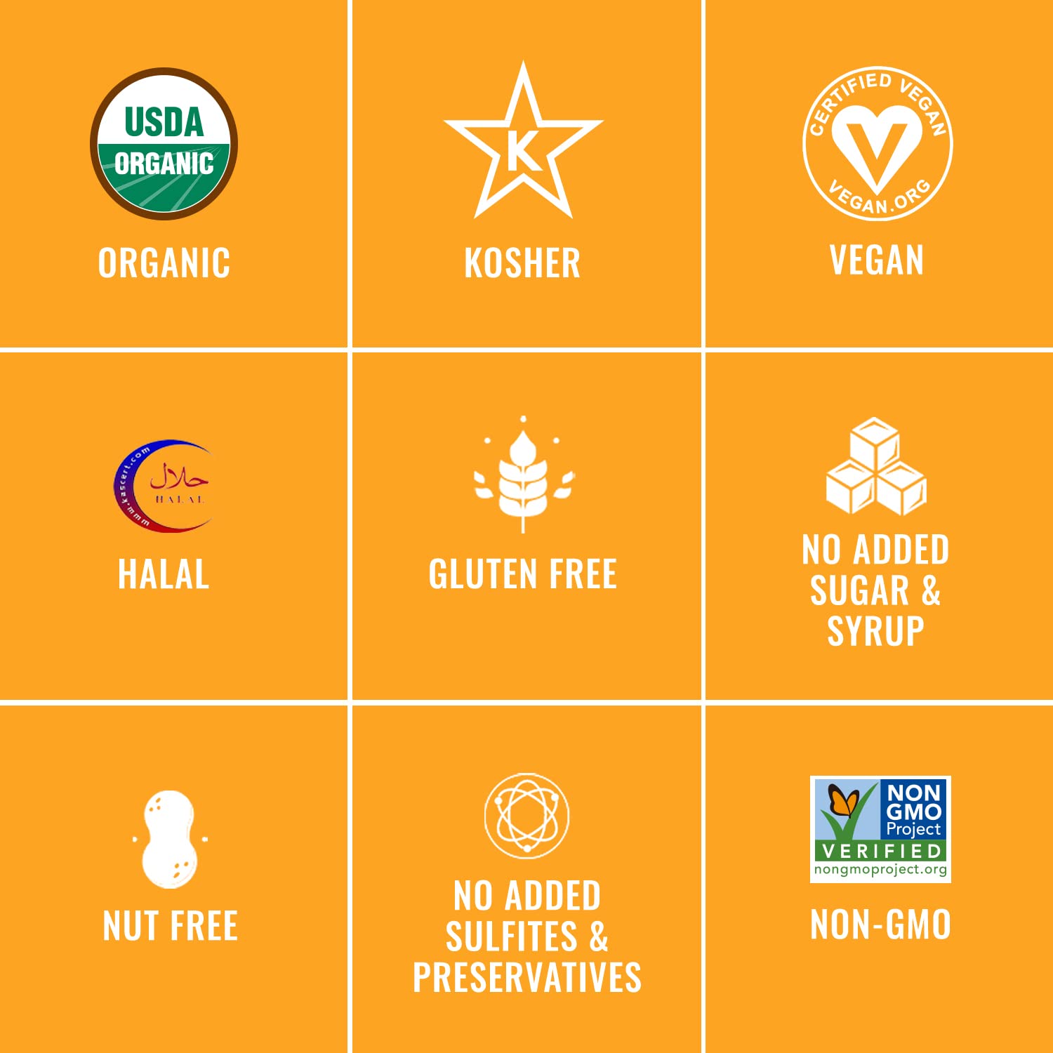 Dried_Apricots_-_Organic_Turkish_Snack_Packs_(5_Individual_Portion_Packs)