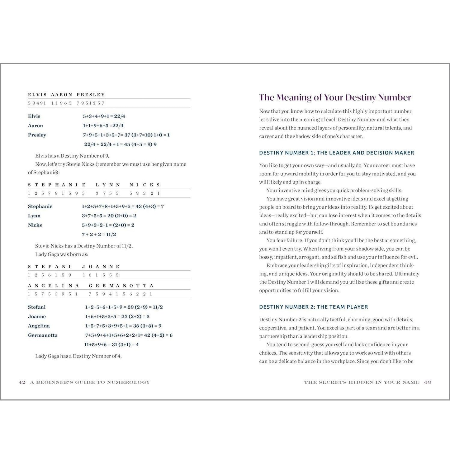 A_Beginner's_Guide_to_Numerology:_Decode_Relationships,_Maximize_Opportunities,_and_Discover_Your_Destiny