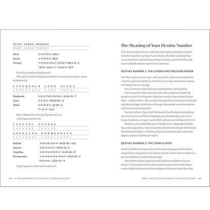 A_Beginner's_Guide_to_Numerology:_Decode_Relationships,_Maximize_Opportunities,_and_Discover_Your_Destiny