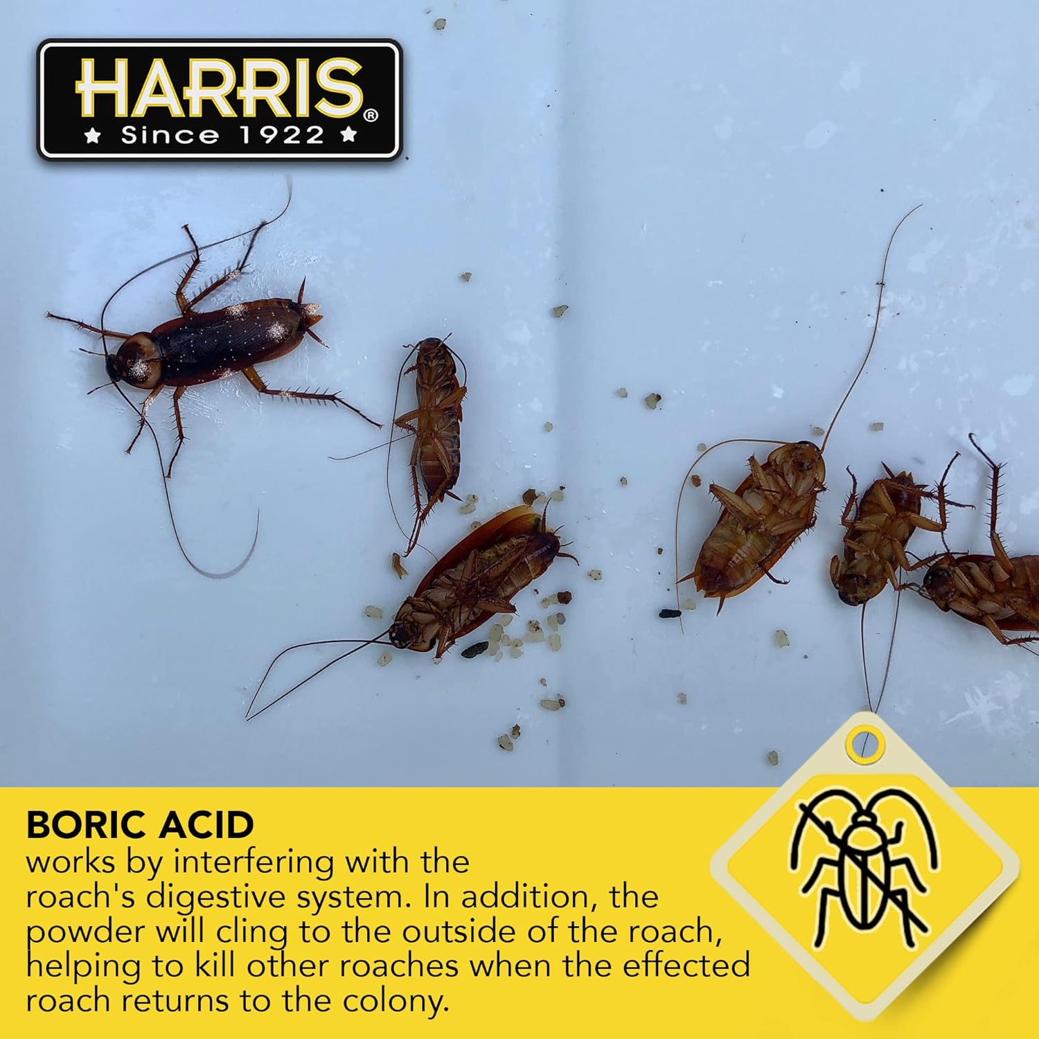 HARRIS_Boric_Acid_Roach_and_Silverfish_Killer_Powder_16oz_for_Insects_-_Effective_Insect_Repellent