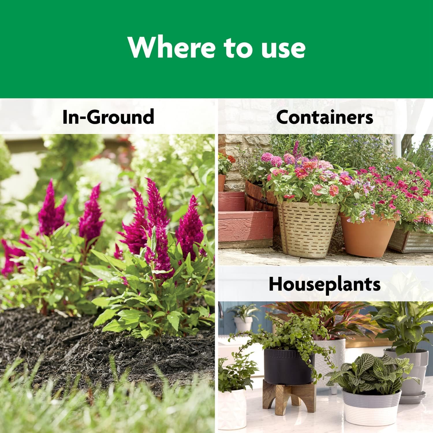 Miracle-Gro_Shake_'N_Feed_All_Purpose_Plant_Food,_For_In-Ground_and_Container_Plants,_Feeds_for_up_to_3_Months,_1_lb.