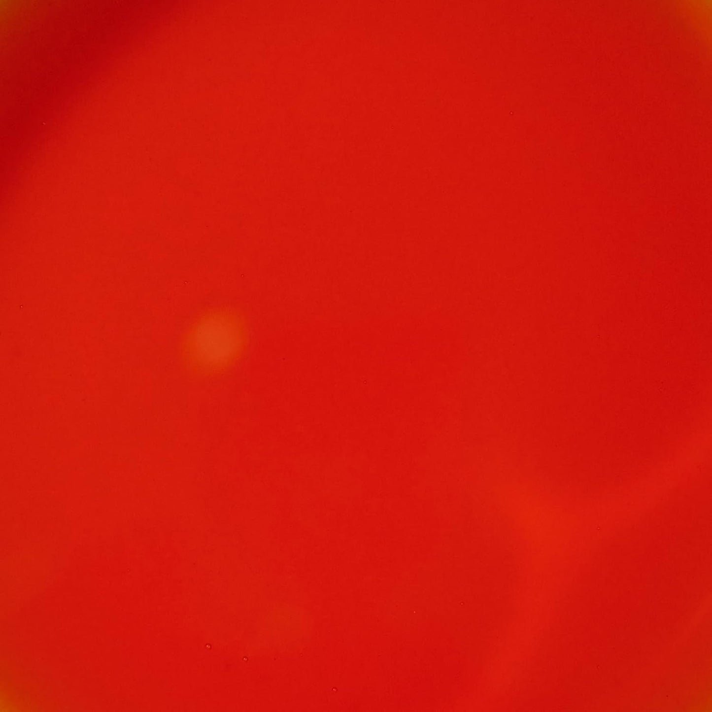 McCormick_Cake_Batter_Flavor,_McCormick's_Versatile_Baking_Extract_2_fl_oz