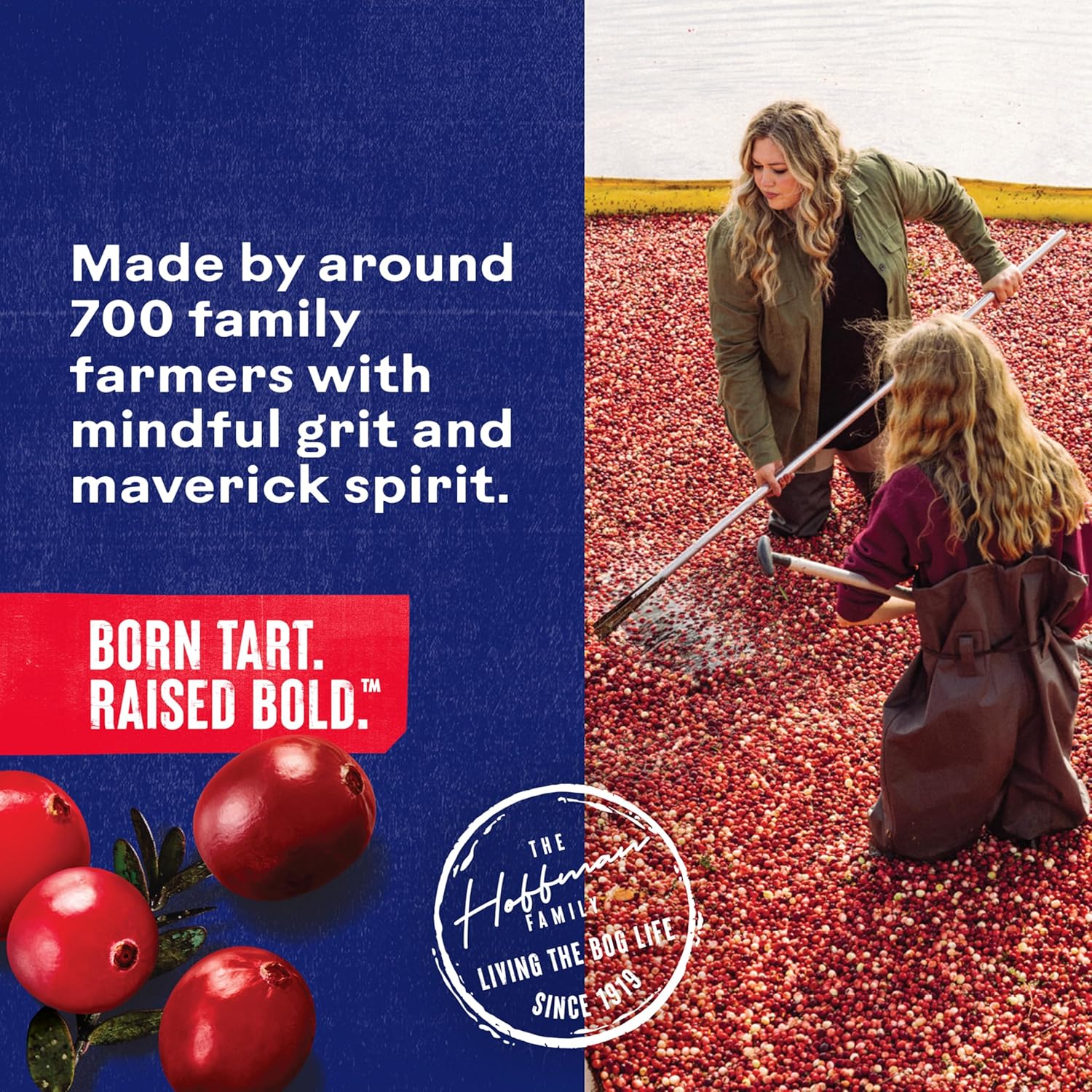 Ocean_Spray_ZERO_Sugar_Fruit_Juice_Drink,_Drink_Sweetened_with_Stevia,_64_Fl_Oz_Bottle_Beverage_Vegetable