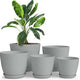 pack of 5 - Gray