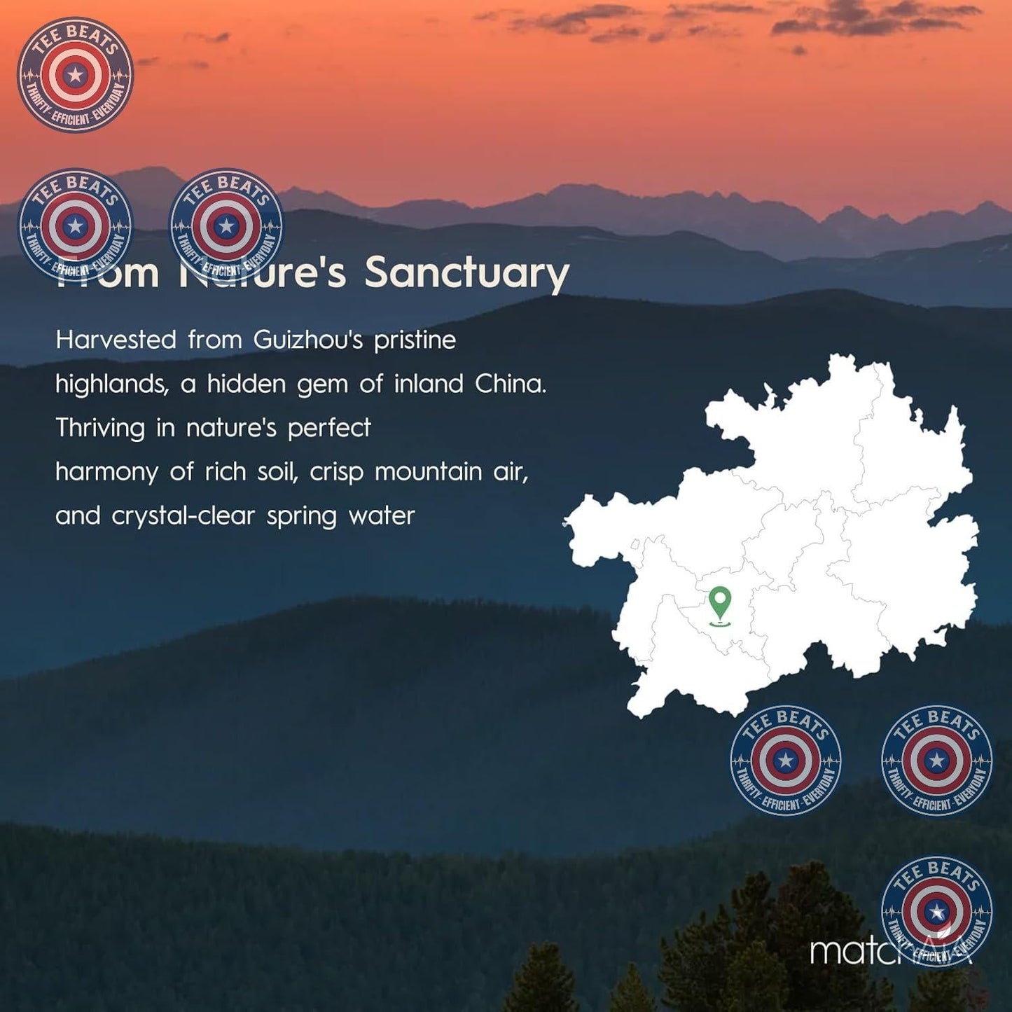 MatchAiA_Premium_Culinary_Grade,_USDA-Certified_Organic_Matcha,_100%_Pure_Green_Tea_Powder,_Perfect_for_Lattes,_Smoothies,_Desserts_and_Baking,_Sugar_Free,_Gluten_Free_(60g_/_2.1oz_Pouch)