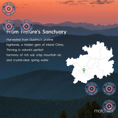 MatchAiA_Premium_Culinary_Grade,_USDA-Certified_Organic_Matcha,_100%_Pure_Green_Tea_Powder,_Perfect_for_Lattes,_Smoothies,_Desserts_and_Baking,_Sugar_Free,_Gluten_Free_(60g_/_2.1oz_Pouch)