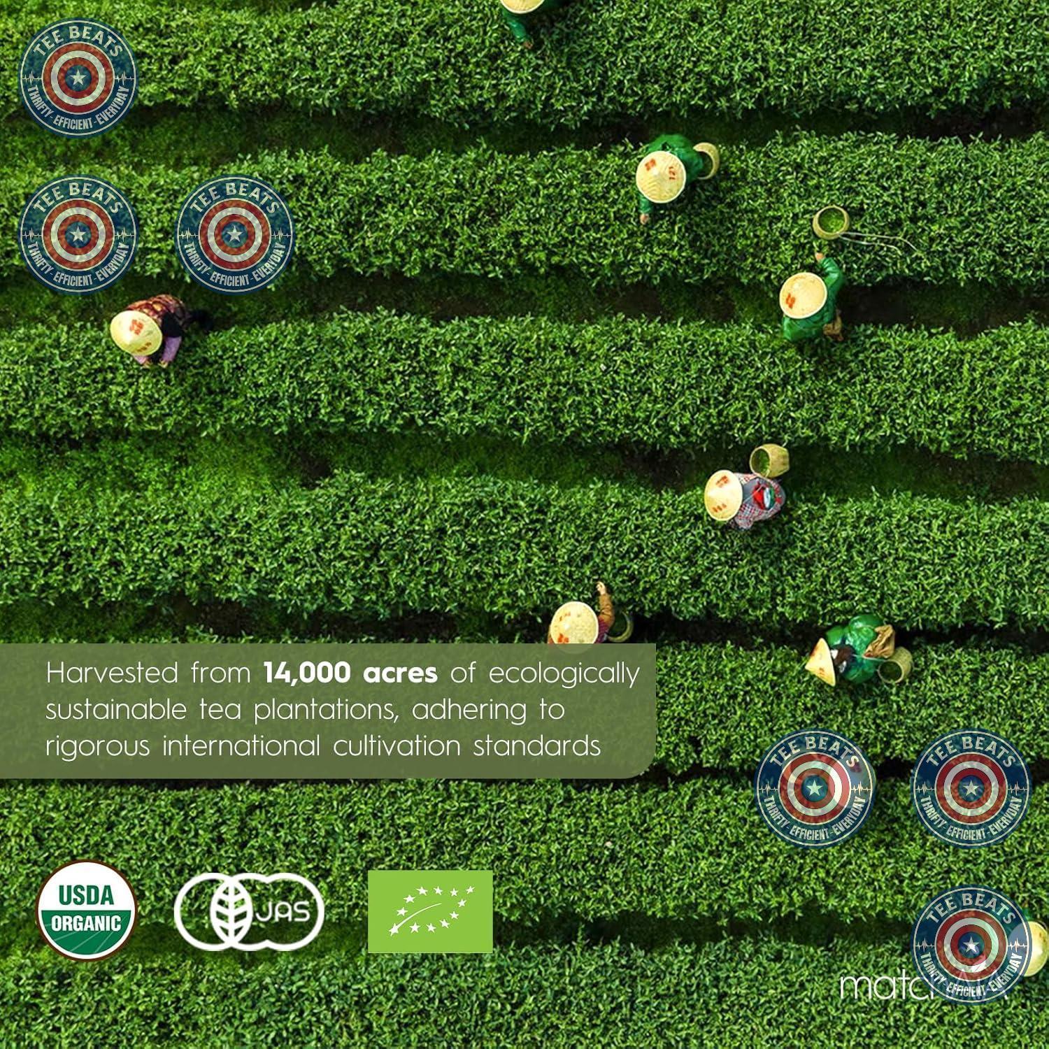 MatchAiA_Premium_Culinary_Grade,_USDA-Certified_Organic_Matcha,_100%_Pure_Green_Tea_Powder,_Perfect_for_Lattes,_Smoothies,_Desserts_and_Baking,_Sugar_Free,_Gluten_Free_(60g_/_2.1oz_Pouch)