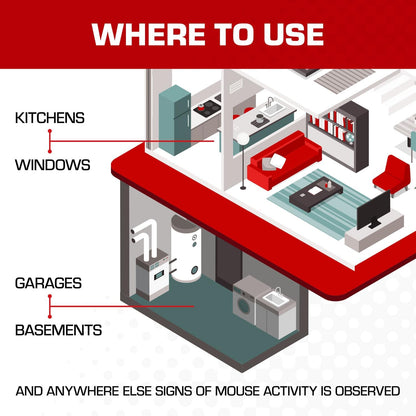 Tomcat_Glue_Traps_Mouse_Size_with_Eugenol_for_Enhanced_Stickiness_for_Mice,_Cockroaches,_and_Spiders